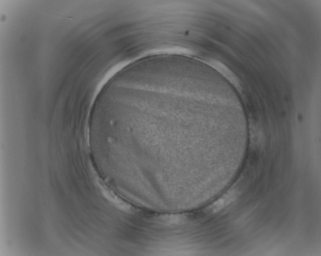 X0000074291044200609081847