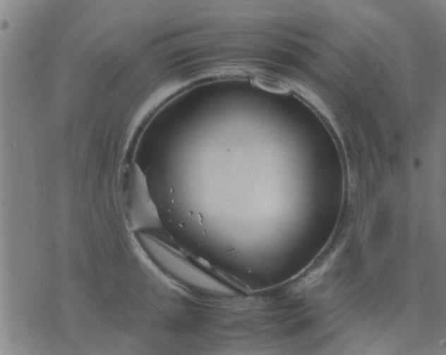 X0000074291045200609081847