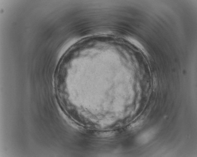 X0000074291047200609081847