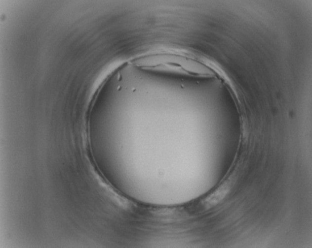 X0000074291048200609081847