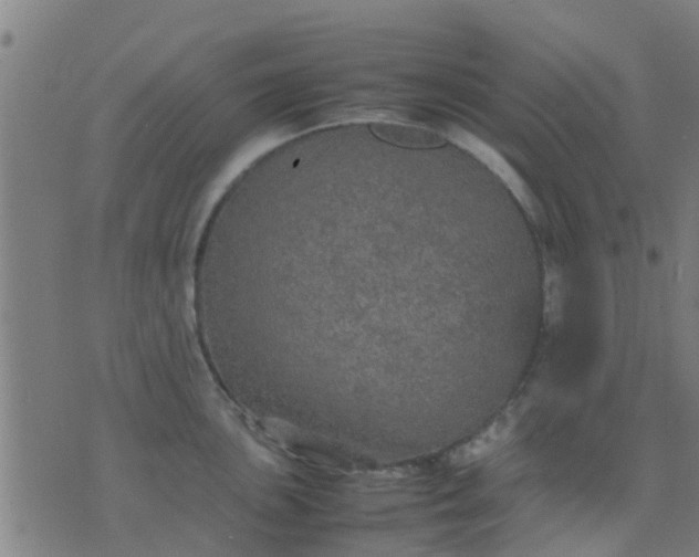 X0000074291051200609081847