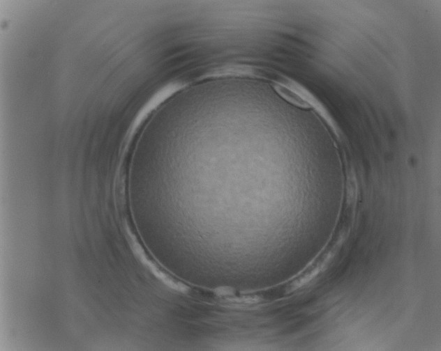 X0000074291053200609081847