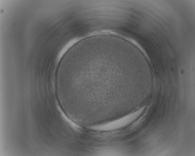 X0000074291054200609081847