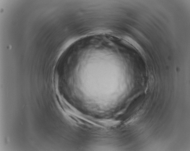 X0000074291055200609081847