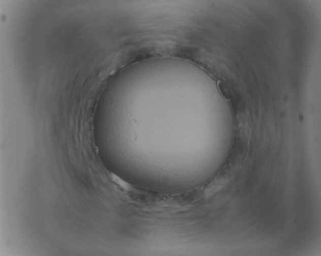 X0000074291057200609081846