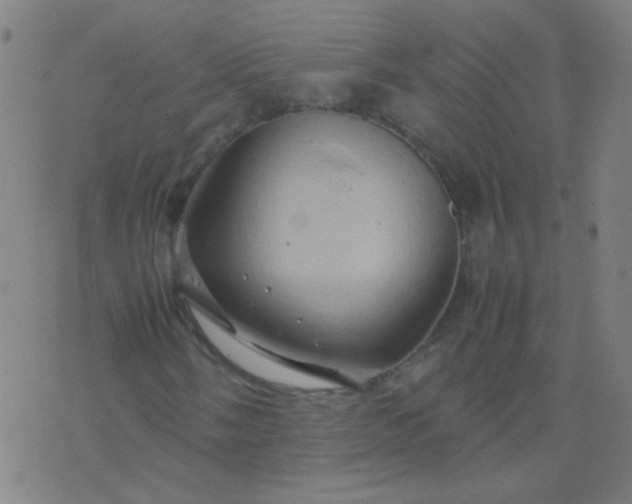 X0000074291058200609081846