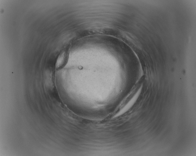 X0000074291060200609081846