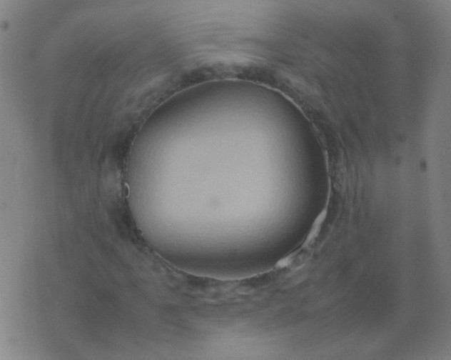 X0000074291061200609081846