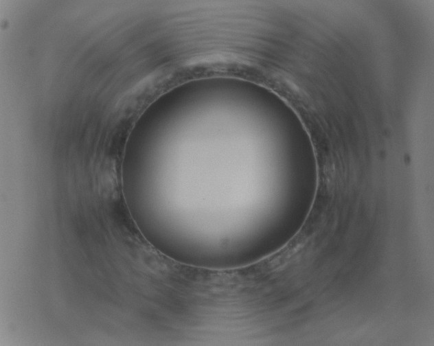 X0000074291062200609081846