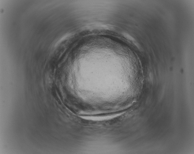 X0000074291063200609081846