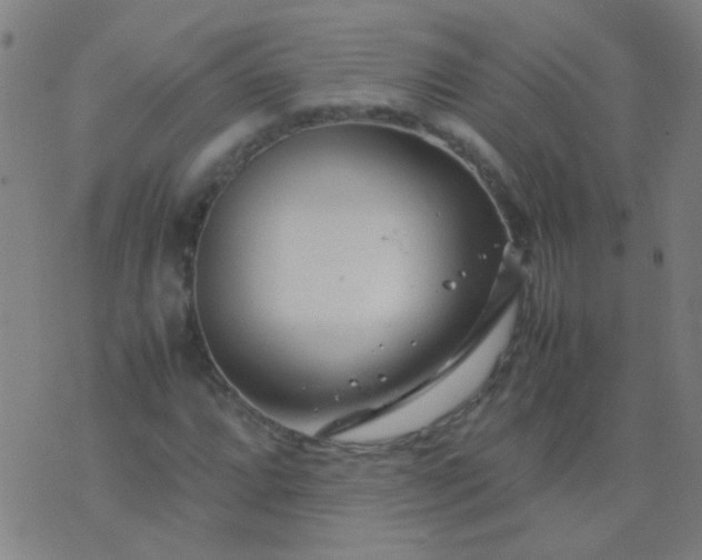 X0000074291064200609081846