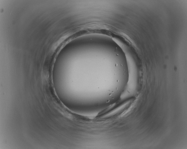 X0000074291065200609081846