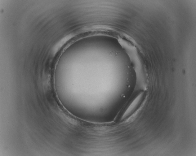 X0000074291066200609081846