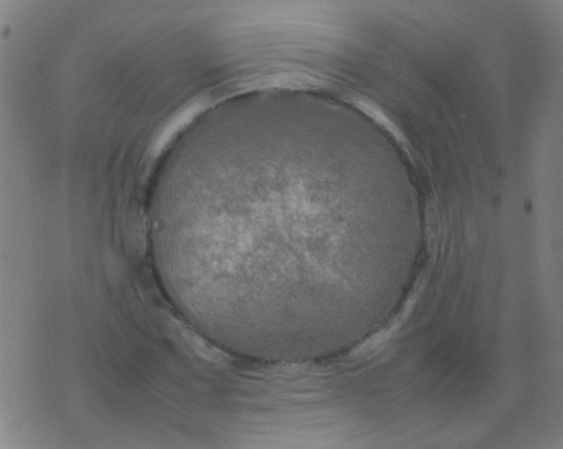 X0000074291067200609081846