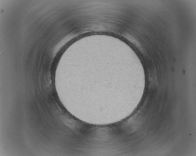 X0000074291070200609081846