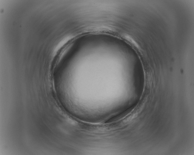 X0000074291071200609081846