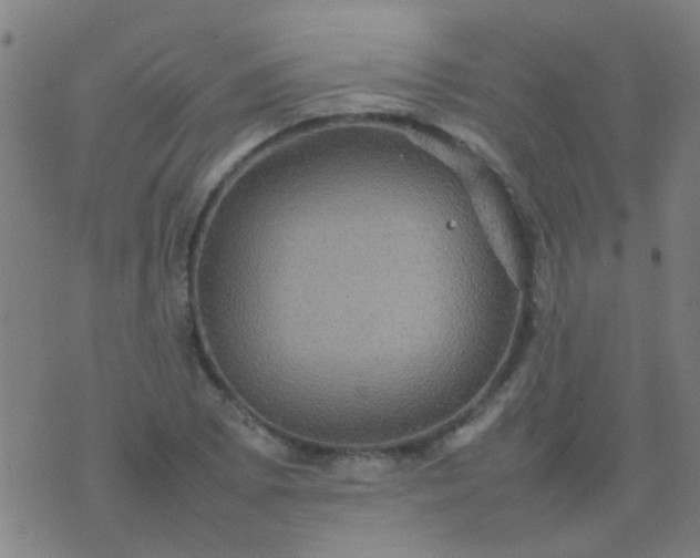 X0000074291073200609081846