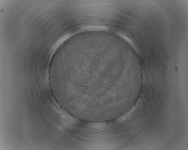 X0000074291074200609081846