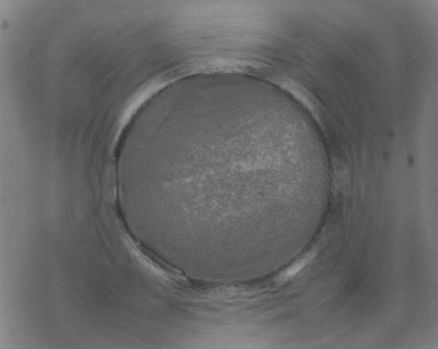 X0000074291075200609081846