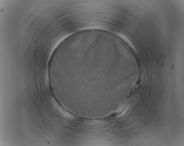 X0000074291076200609081846