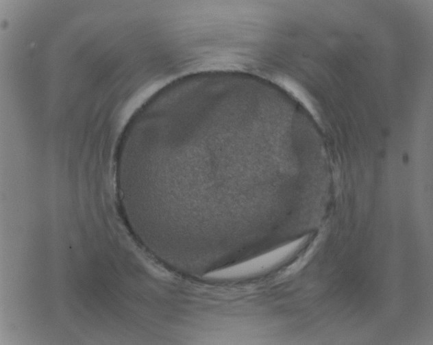 X0000074291077200609081846