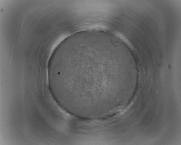 X0000074291079200609081846