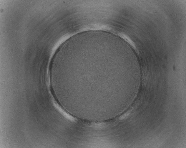 X0000074291080200609081846