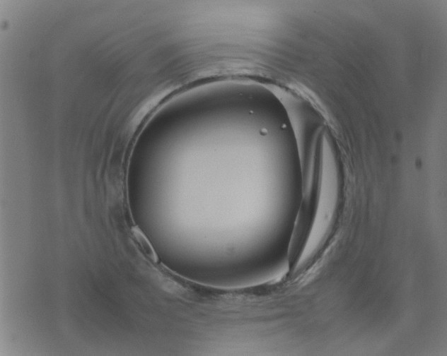 X0000074291081200609081846