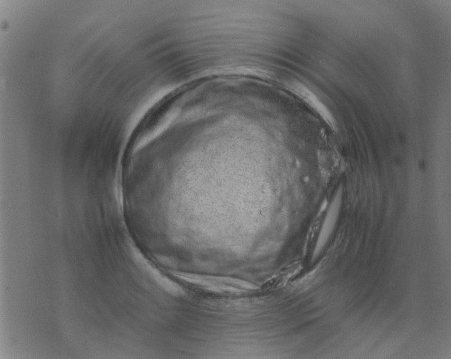 X0000074291084200609081846