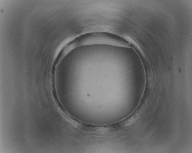 X0000074291085200609081846