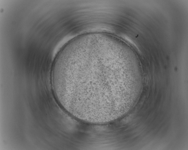 X0000074291086200609081846