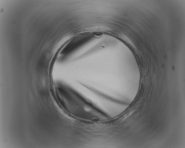 X0000074291087200609081846