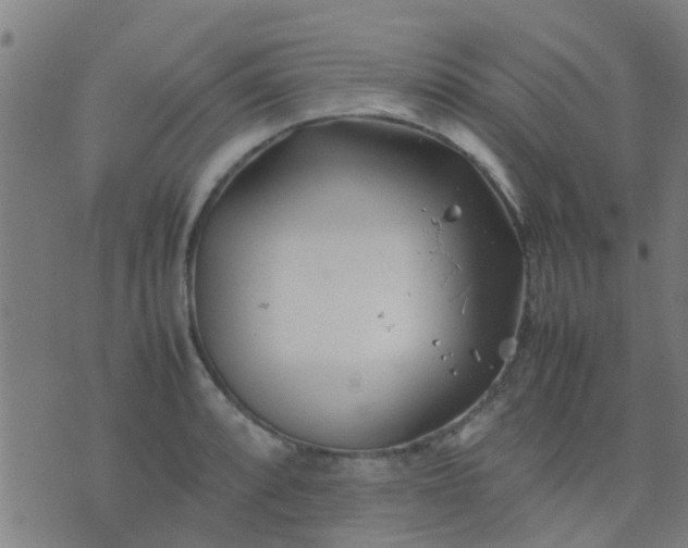 X0000074291088200609081846