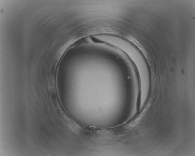 X0000074291089200609081846