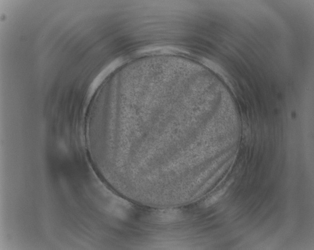 X0000074291090200609081846