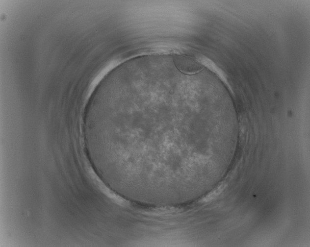 X0000074291091200609081846