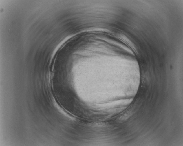 X0000074291092200609081846