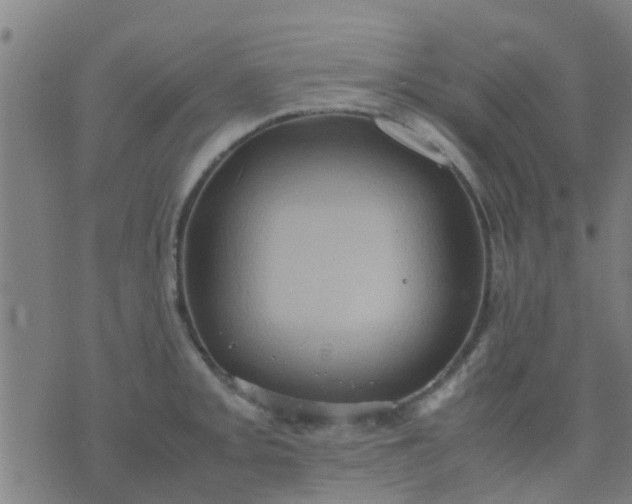 X0000074291093200609081846