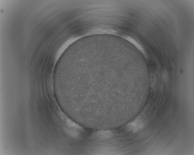 X0000074291094200609081846