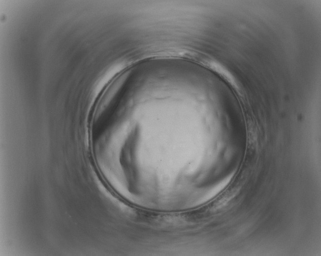 X0000074291095200609081846