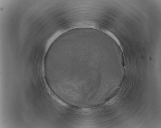 X0000074291096200609081846