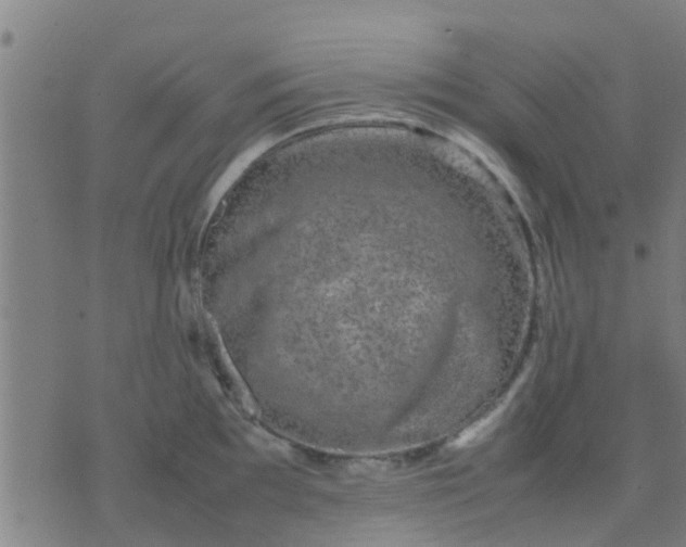 X0000074291097200609081846