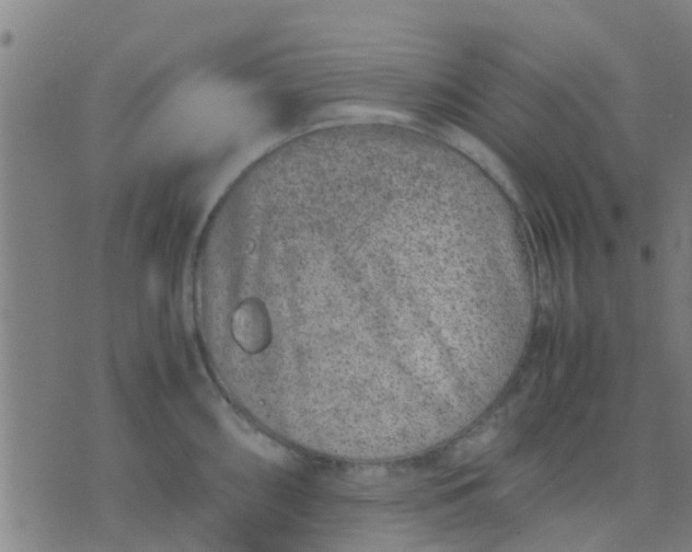 X0000074291098200609081846