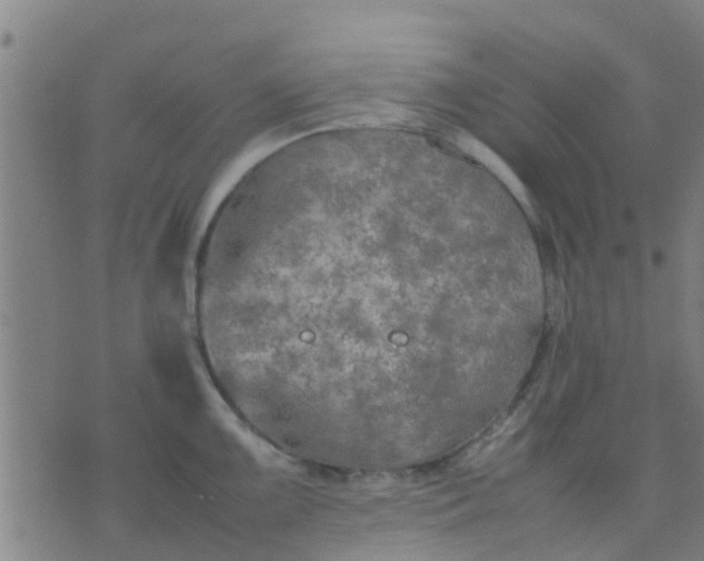 X0000074291099200609081846