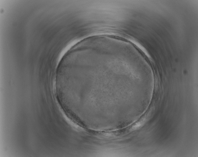 X0000074291101200609081846