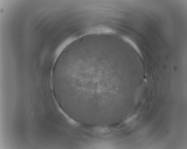 X0000074291103200609081845