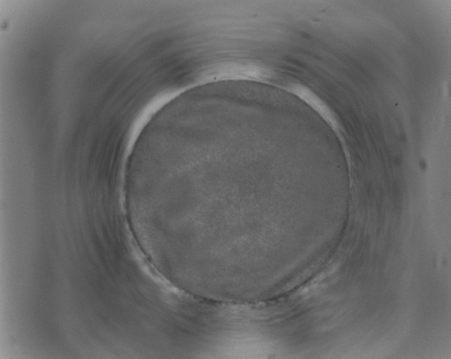 X0000074291104200609081845