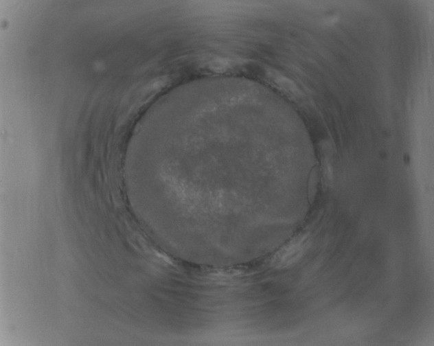 X0000074291105200609081845