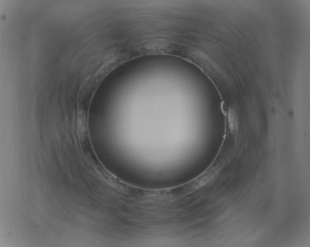 X0000074291107200609081845