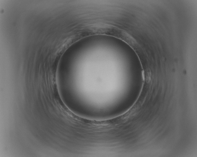 X0000074291108200609081845